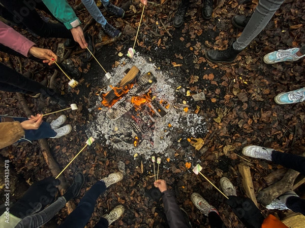 Obraz Marshmallow über Lagerfeuer 
