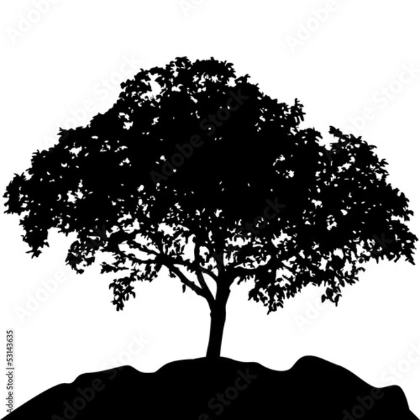 Obraz tree at hill silhouette vector