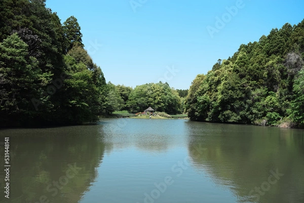 Obraz 夏ののどかな公園