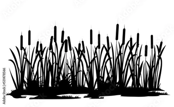 Fototapeta River bank with reeds. Swamp landscape. View of the river bank. Silhouette picture. Isolated on white background. Vector.