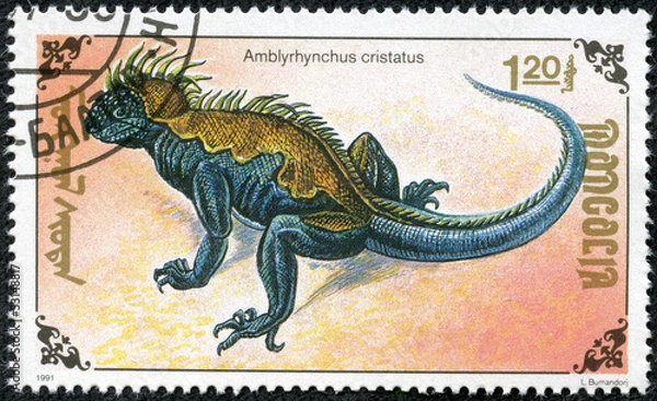 Obraz stamp printed by Mongolia, shows lizard