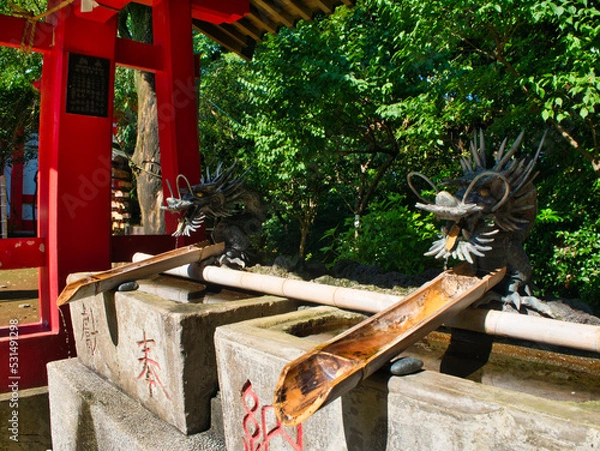 Fototapeta 手水舎