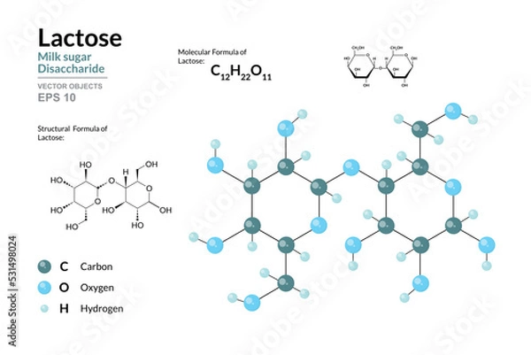 Fototapeta Lactose. Milk Sugar. Disaccharide. Structural Chemical Formula and Molecule 3d Model. C12H22O11. Atoms with Color Coding. Vector Illustration