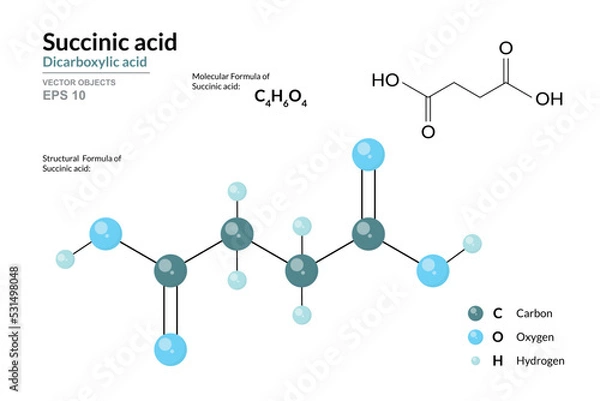 Fototapeta Succinic Acid. Food Additive E363. Structural Chemical Formula and Molecule 3d Model. C4H6O4. Atoms with Color Coding. Vector Illustration