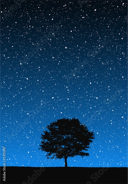 Fototapeta Tree Under Stars