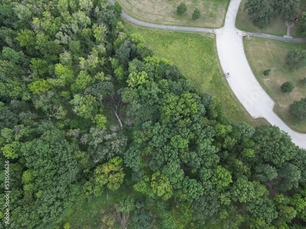 Obraz broccoli in the snow