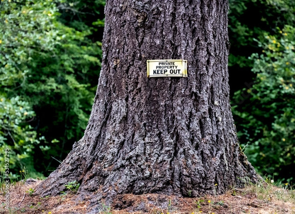 Fototapeta Old private property keep out sign on tree trunk