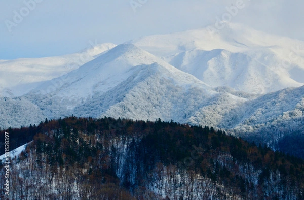 Obraz A new snowy white world