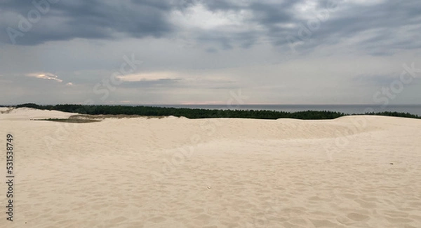 Fototapeta Sand dune on the beach in the National Park in Leba, Poland
