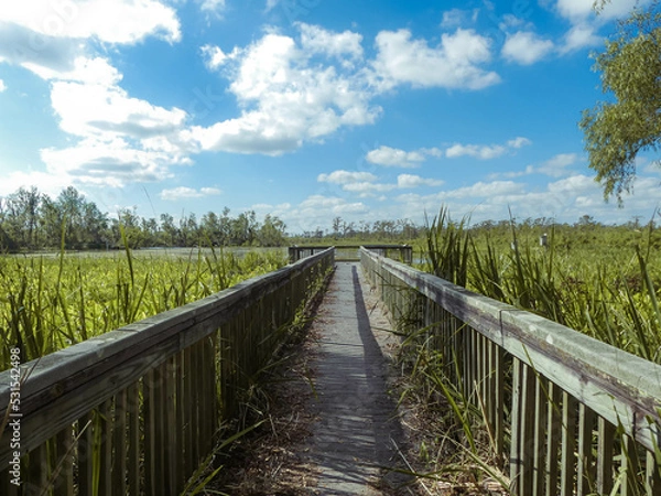 Fototapeta wooden bridge over river