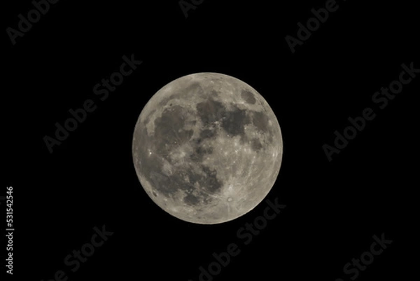 Fototapeta full moon on black