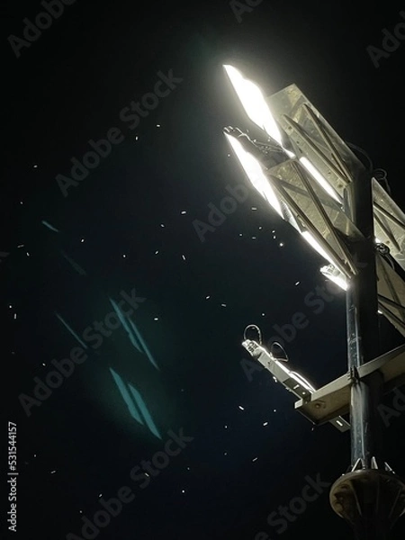 Obraz space shuttle launch