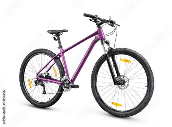 Obraz Mountain bike isolated on white background. Side view