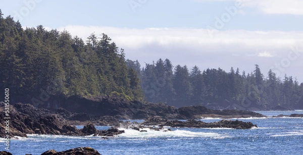 Fototapeta Rugged Rocks on a rocky shore on the West Coast of Pacific Ocean.