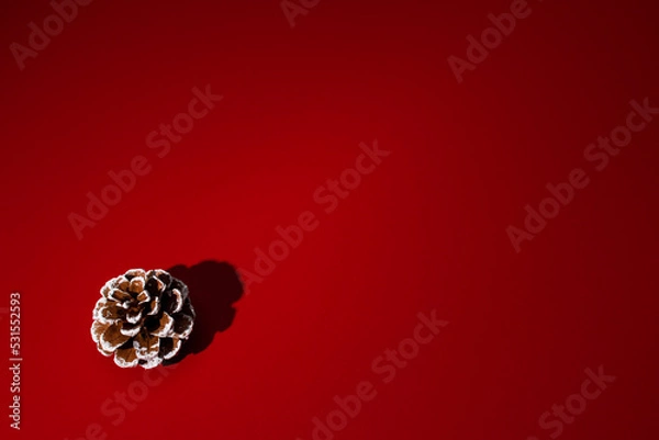Obraz Pine cone on red background