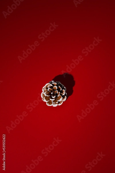 Obraz Pine cone on red background