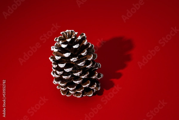 Obraz christmas decoration with pine cone