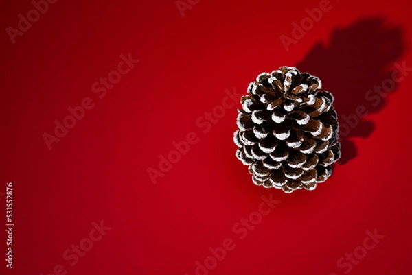 Obraz christmas decoration on red background