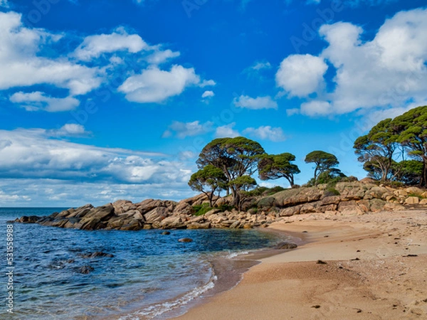 Fototapeta Shelley Cove a sheltered snorkeling spot located at the picturesque Shelley Beach in Bunker Bay, explore granite islands, grassy shallows and a beautiful array of colour