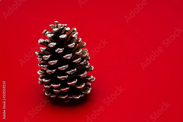 Obraz christmas decoration on a red background