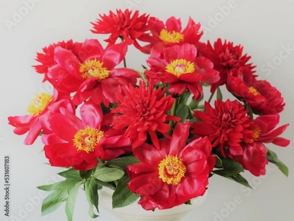 Obraz レッドチャーム