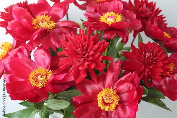 Obraz レッドチャーム