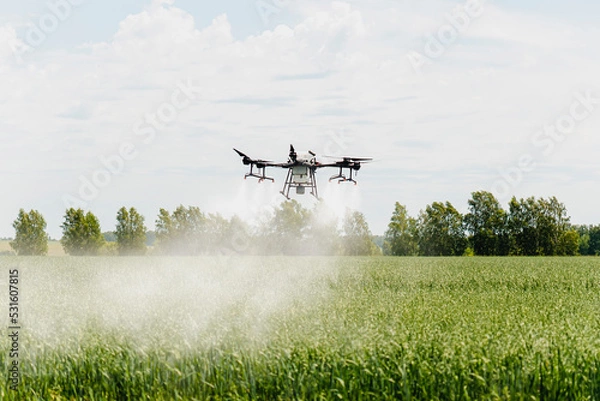 Fototapeta Modern technologies in agriculture. industrial drone flies over a green field and sprays useful pesticides to increase productivity and destroys harmful insects. increase productivity