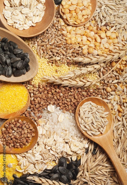 Obraz Cereals collection