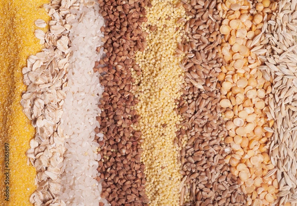 Obraz Cereals collection