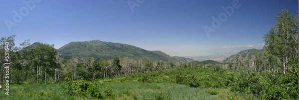 Obraz alpine loop meadow