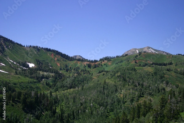 Obraz alpine hillsideq