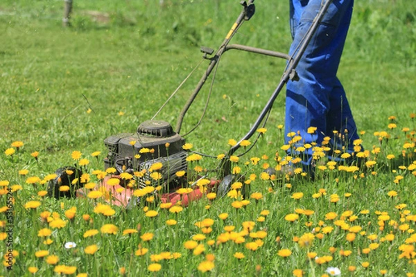 Obraz Mowing