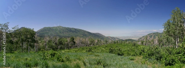 Obraz distant valley