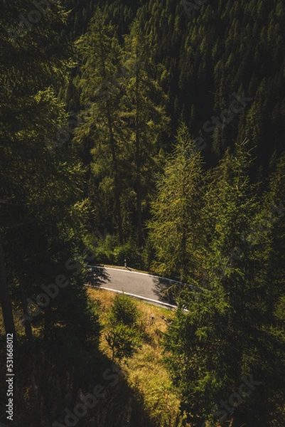 Obraz road in the mountains