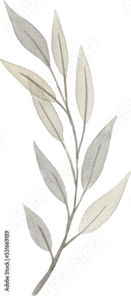 Fototapeta Hand drawn watercolor leaves and branches