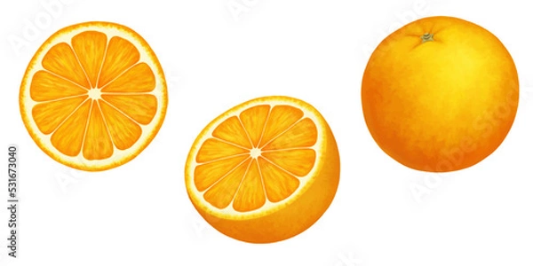 Fototapeta Oranges. Vector realistic illustration isolated on white. Whole, half and slice of a ripe orange. Citrus juicy set of cut pieces of sour fresh fruit with bright peel.