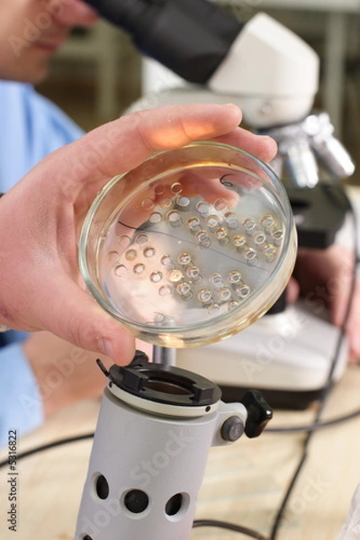 Fototapeta laboratory work