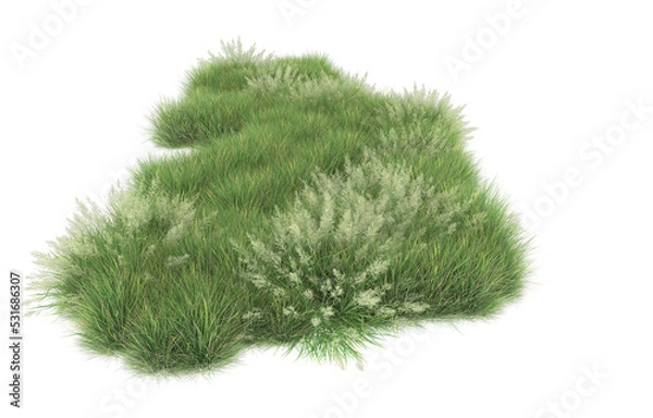 Fototapeta Grass on transparent background. 3d rendering - illustration