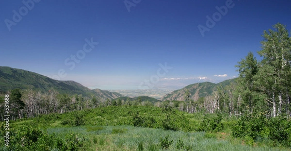 Obraz meadow and valley
