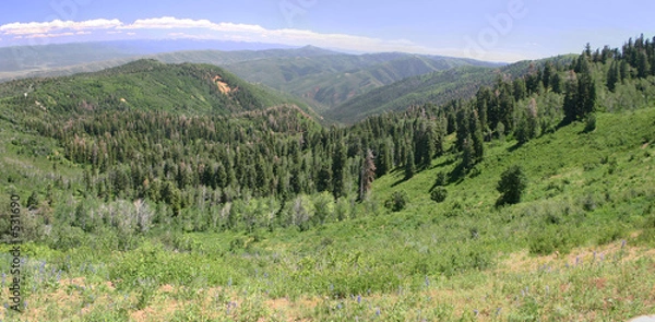 Obraz wasatch meadow