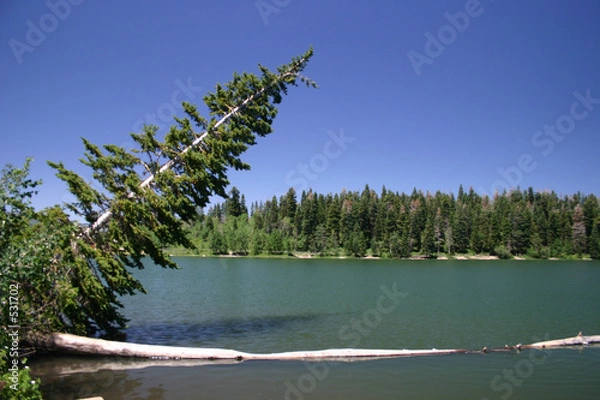 Obraz payson lake panorama #2