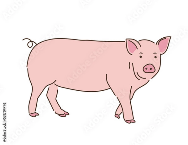 Fototapeta 動物　畜産　豚