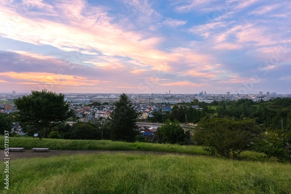 Fototapeta 東京都多摩市 聖蹟桜ヶ丘、夕暮れの桜ヶ丘公園、ゆうひの丘