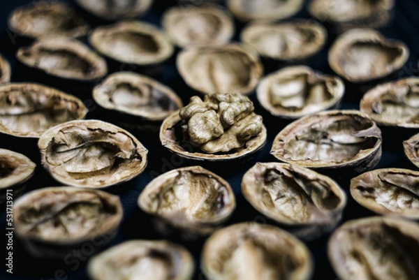 Obraz black and white beans