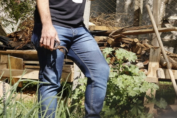 Obraz pruning shears