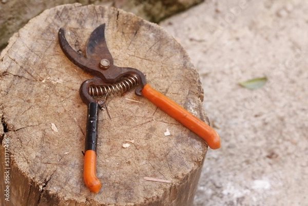 Obraz pruning shears