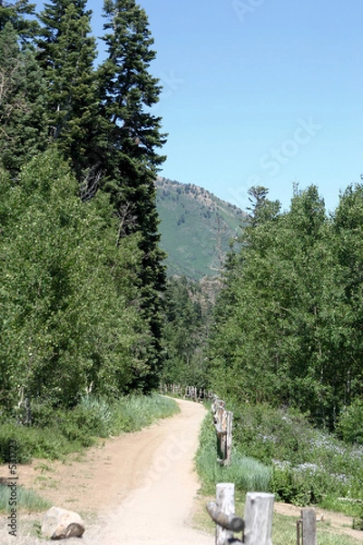 Obraz payson lake trail