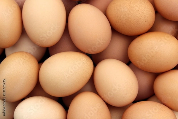 Fototapeta Texture from a large number of chicken eggs close-up.