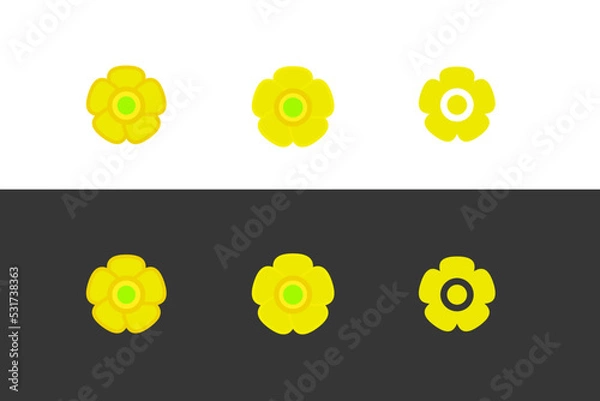 Fototapeta Set of yellow vector flowers. Meadow Buttercup. Ranunculus acris.