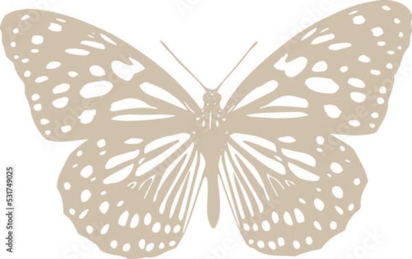 Fototapeta Boho Butterfly transparent background